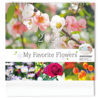 �y�N�X�m�L�z�������_�[2026 �� type-G